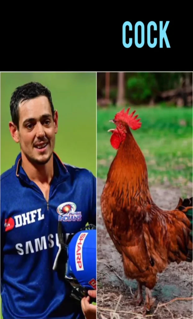 10 Funniest Cricketers Name And Net Worth of All Time